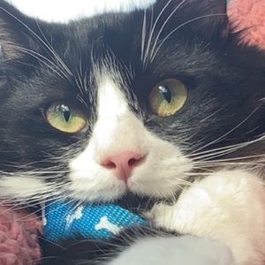 Meet your Posher, Itzia